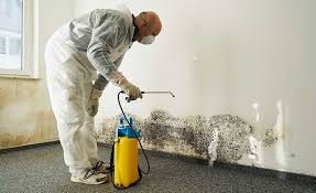 Best Industrial Mold Remediation  in Hudson, NC